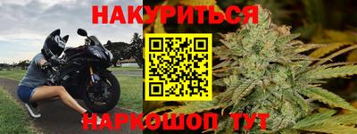 гидра Кингисепп