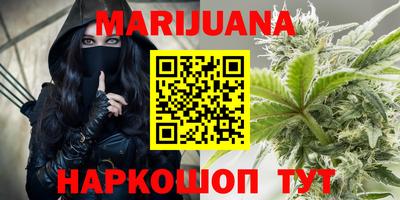 гидра Кингисепп